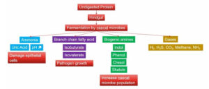 Figure3