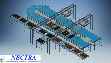 “SMART” On Tray Orderly Egg Refilling System