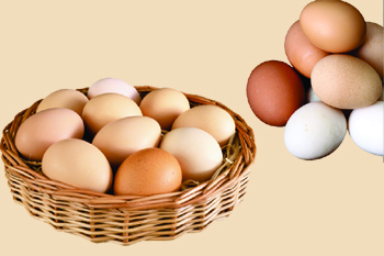 Online Interactive Meet on “Promotion and Production of Omega – 3 Enriched Eggs in Poultry”