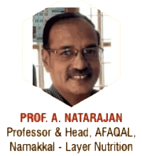 Prof. A Natarajan