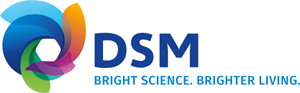 DSM Logo