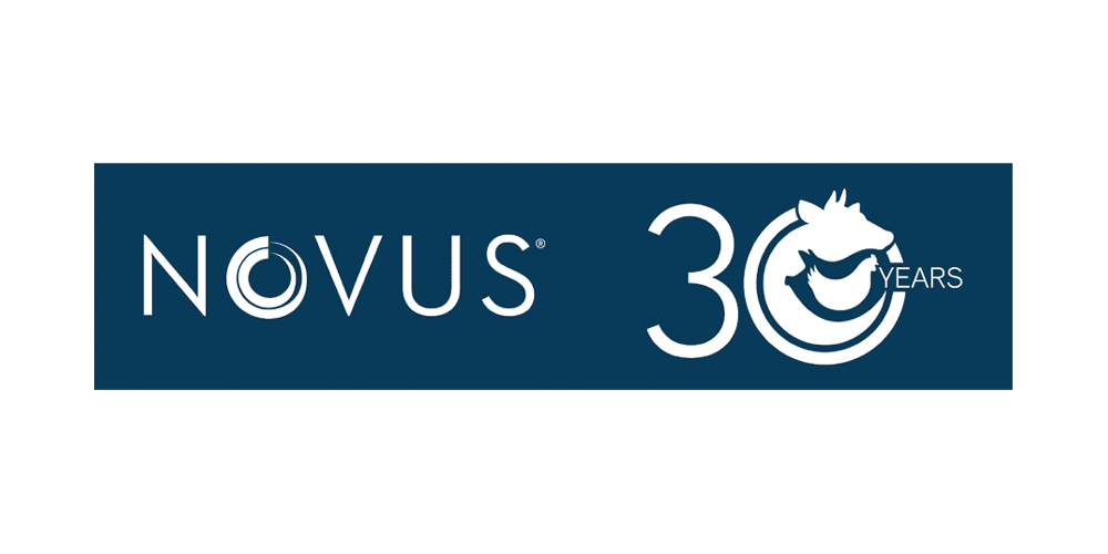 Novus celebrates anniversary this month, planning for a long future
