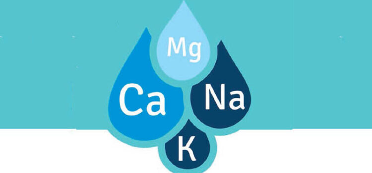 Dietary Electrolytes while formulating with alternate ingredients