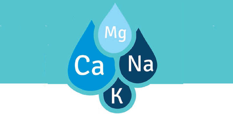 Dietary Electrolytes