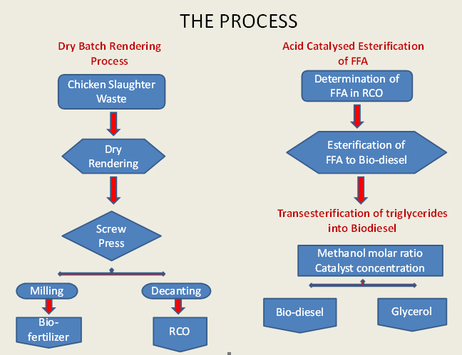 Process of producing bio-diesel from chicken slaughter waste