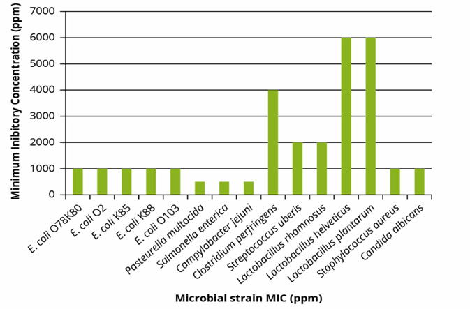 Figure 1 - Minimum inhibitory concentrations (MIC in ppm) of benzoic acid against microorganisms isolated from animals.