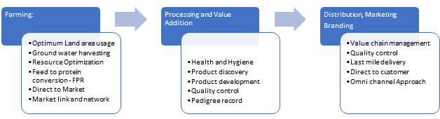 Trends in Indian Poultry