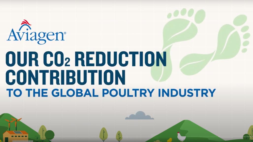 Breeding Sustainability – Aviagen Illustrates CO2 Reduction Contribution to Global Poultry Industry