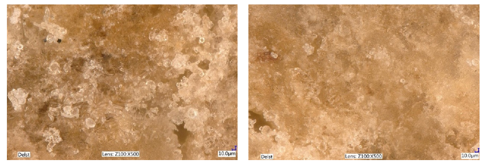 Figure 16. Picture on the Left is the control group with aw of 0.68 and moisture content of 10.14%. Picture on the Right is the treatment group with aw of 0.59 and moisture content of 10.86%.