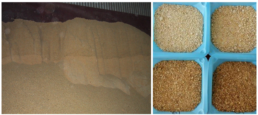 Figure 8. Picture on the Left shows caking issue in SBM stored in a flat warehouse. Picture on the Right shows the effect of different stages of Maillard reaction in SBM.