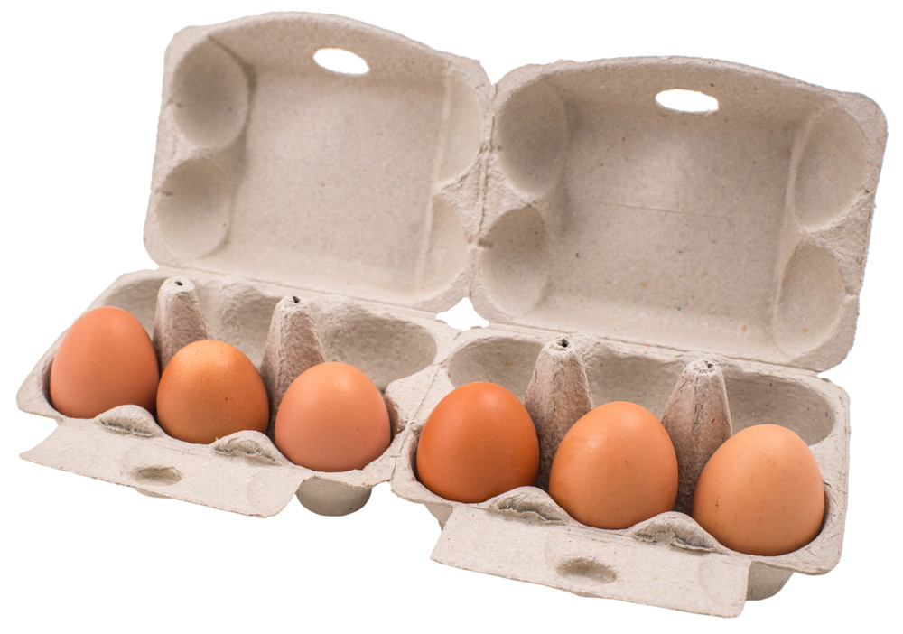 Egg Trays
