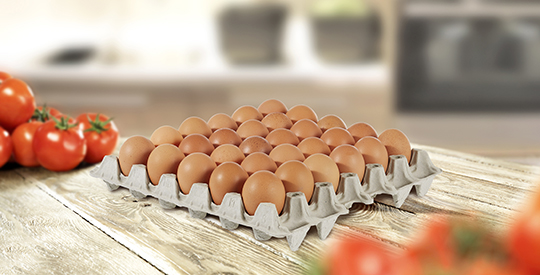 Hartmann India Launch New Egg Trays