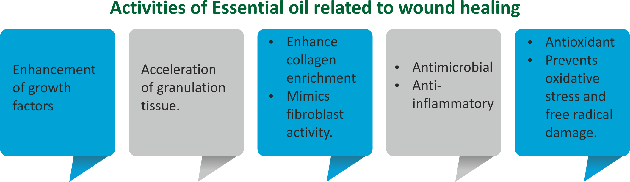 Activities of Essential Oil
