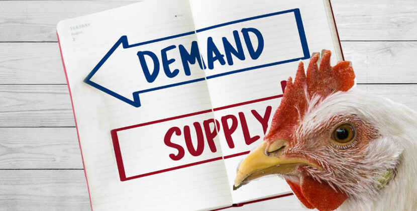 Indian Poultry demand and supply article