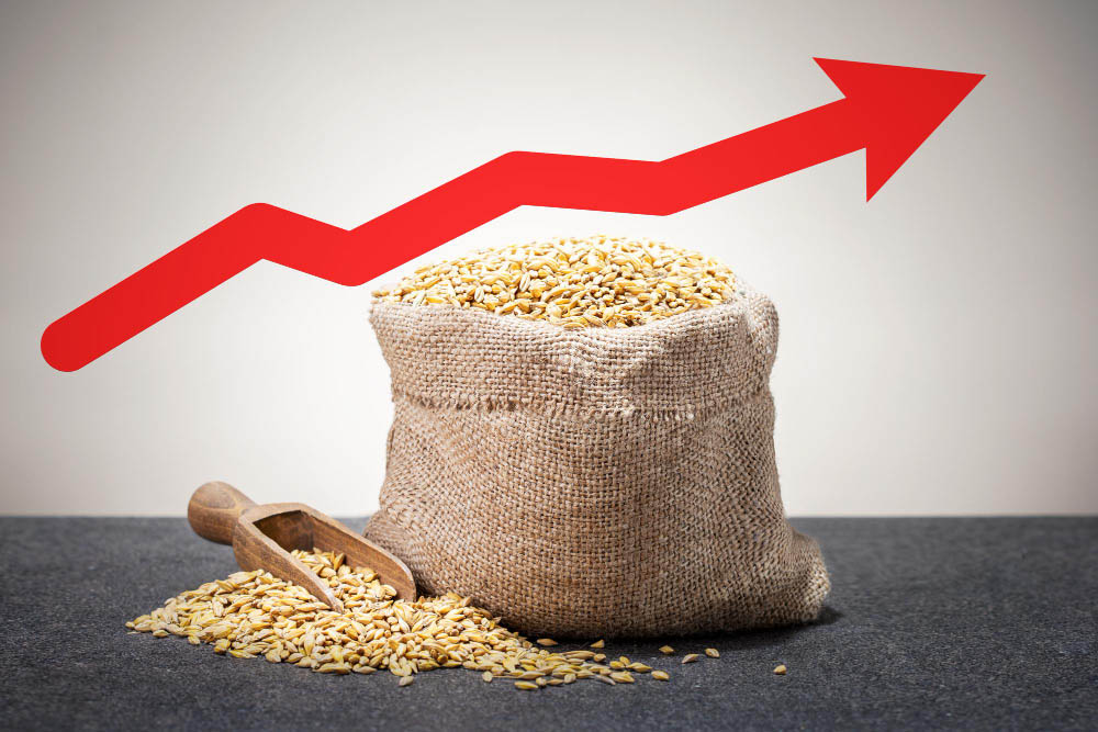 Rising feed cost illustration