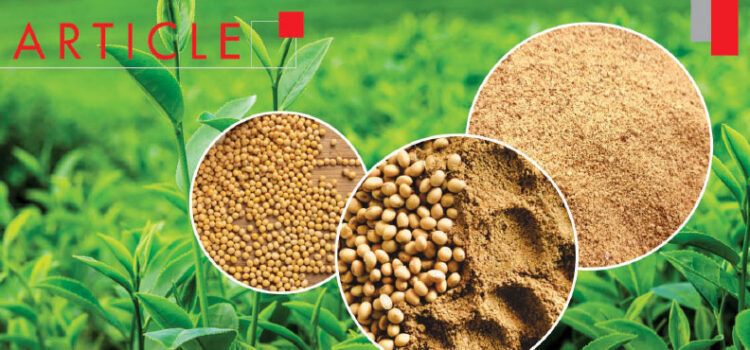 Organic Soybean Meal: A futuristic source for Protein