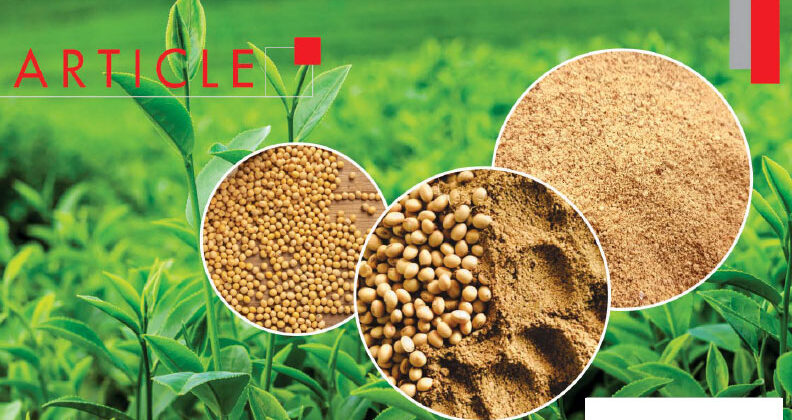 Organic Soybean Meal Title Image
