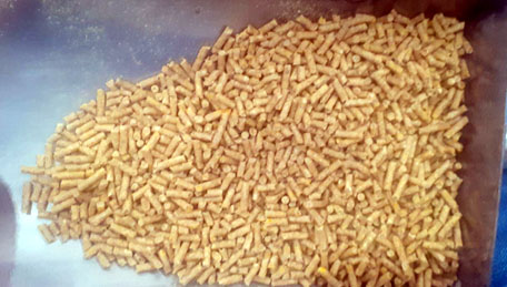 Feed pellet