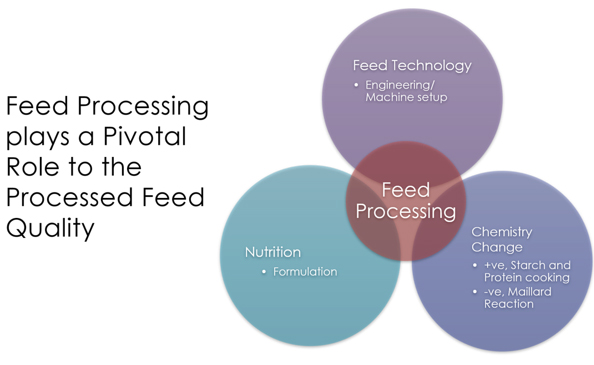 Feed Processing role