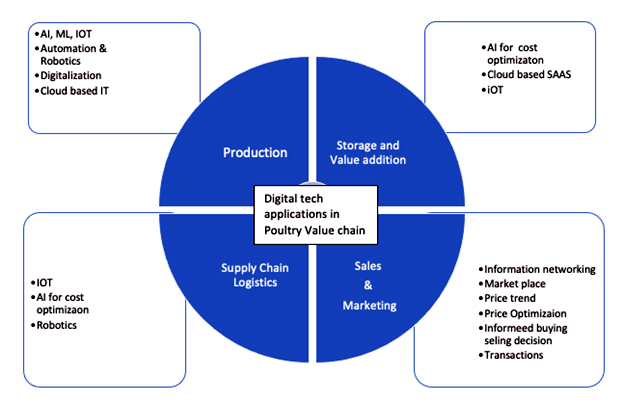 Fig: Digital technology application areas in poultry value chain 