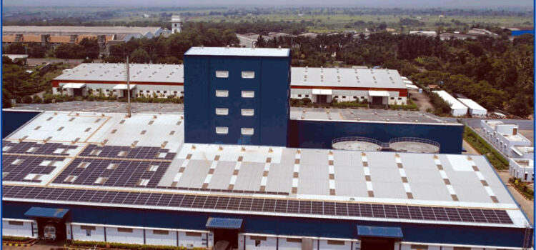 Animal Feed Process: Grinding