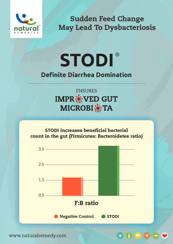 Gut Microbiome