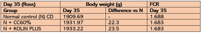 Table 2: Performance validation at standard model