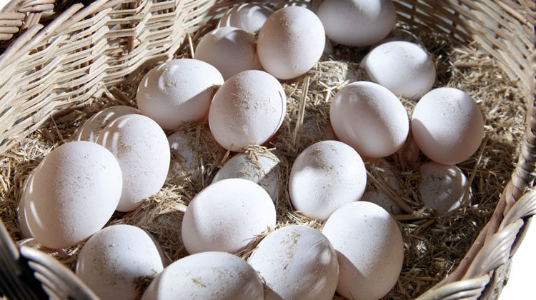 eggs in wicker basket