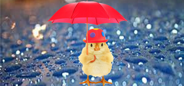 Monsoon Management in Poultry