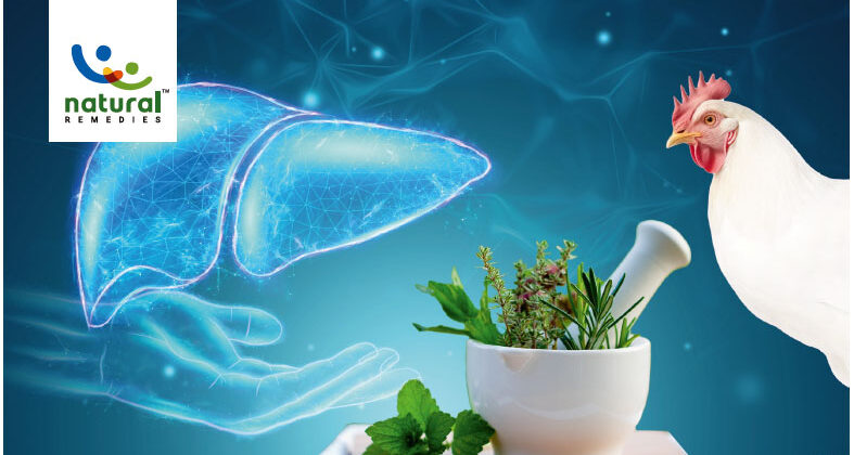 Role of liver in detoxification