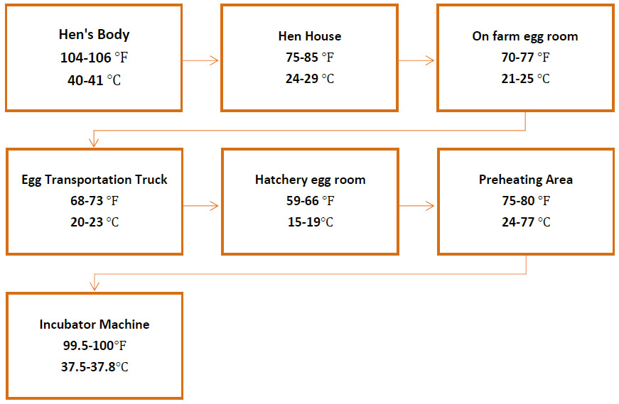 Main parameters of hatchery management