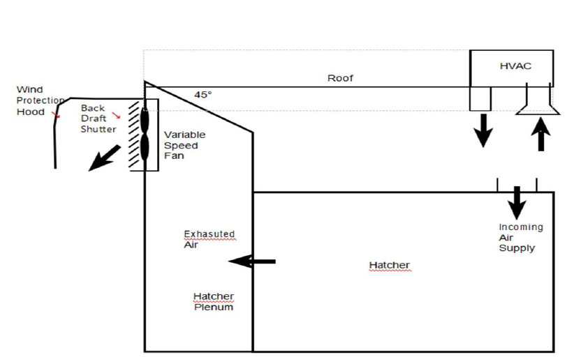 Diagram of hatcher room with exhaust plenum showing airflow