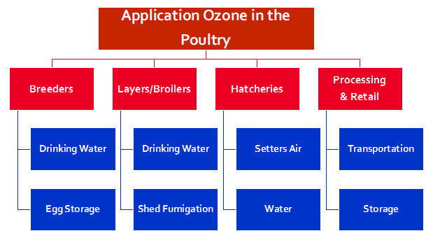 Ozone Use In The Poultry Industry