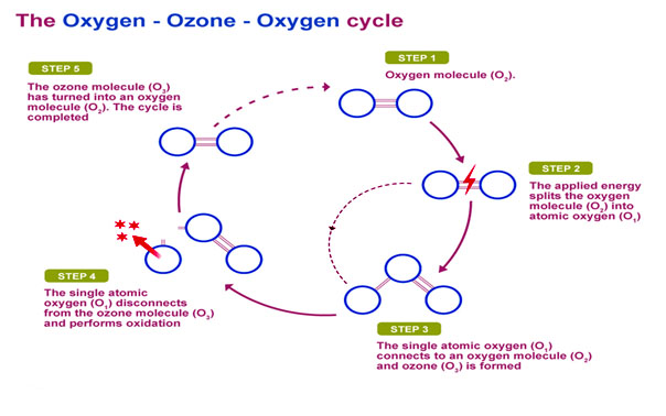 Oxygen - Ozone - Oxygen Cycle