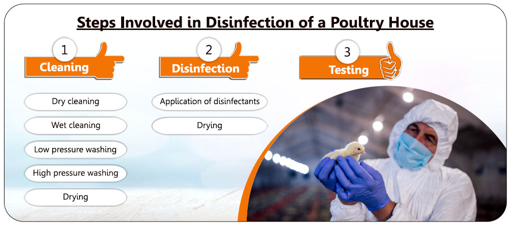 Steps for Poultry house disinfection