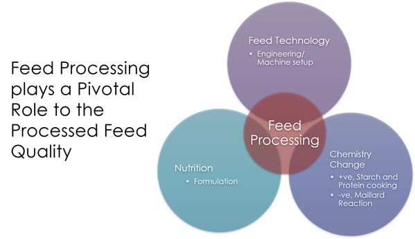 Summary diagram on the pivotal role of feed processing to feed quality.