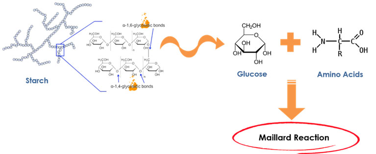 Maillard reaction in feed processing