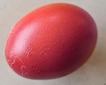 Pink or Liliac Eggs