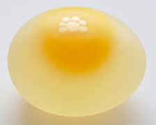 Shell less egg