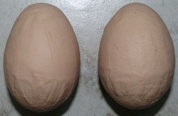 Corrugated Eggs