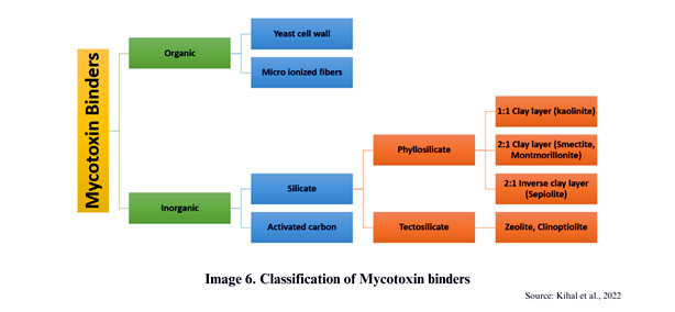 Classification of Mycotoxin binders