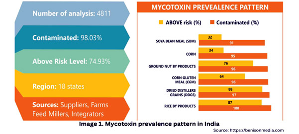 Mycotoxin prevalence pattern
