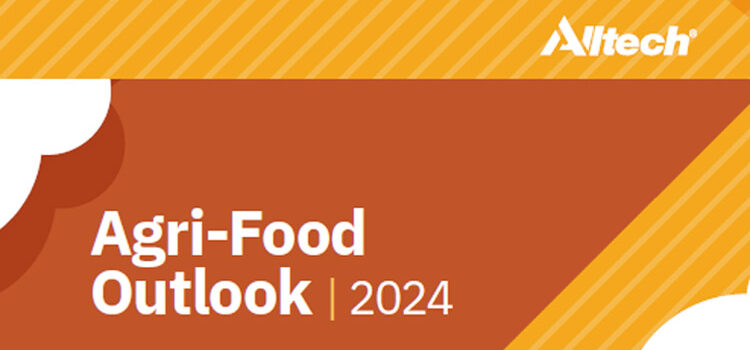 Agri-Food Outlook 2024 : Global Feed Production Down Slightly