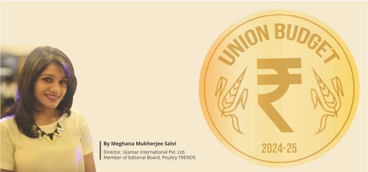 Union budget 2024: Analysis