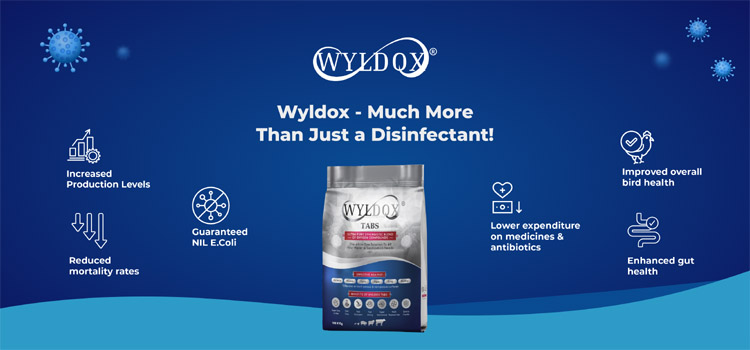 Wyldox Title image