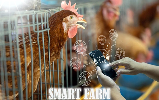 Poultry 4.0 - A New Era in Poultry Farming in India
