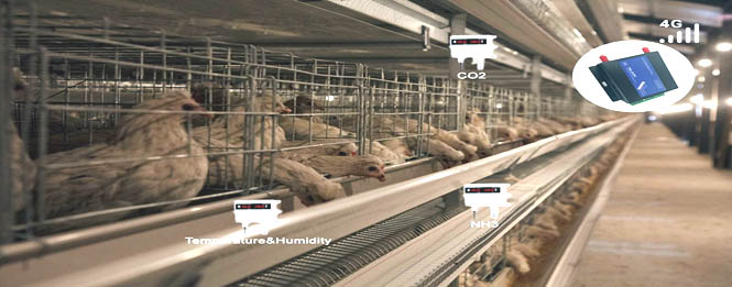 Fig: Innovative poultry farm monitoring systems 