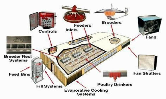 Fig: Poultry house with IOT Sensors 