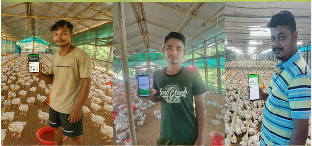 Fig: Digitally Empowered Poultry Farmers – Leveraging Mobile Applications for Smart Farm Management