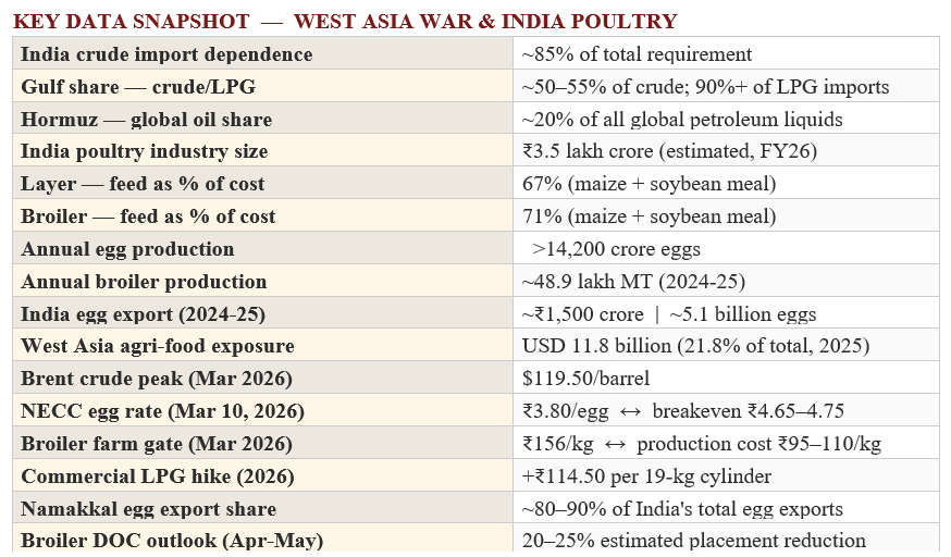 Key Data Snapshot